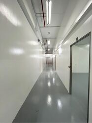 Tat Ann Building (D20), Warehouse #624563791